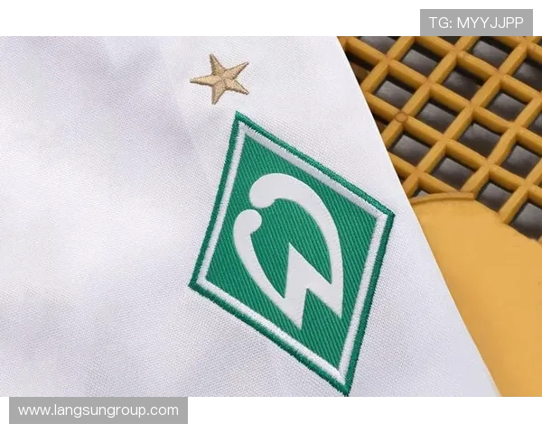 云达不来梅俱乐部历史沿革与未来发展潜力的深度分析