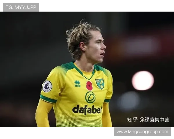 诺维奇足球俱乐部的辉煌历程与未来展望：英格兰足球的绿茵传奇