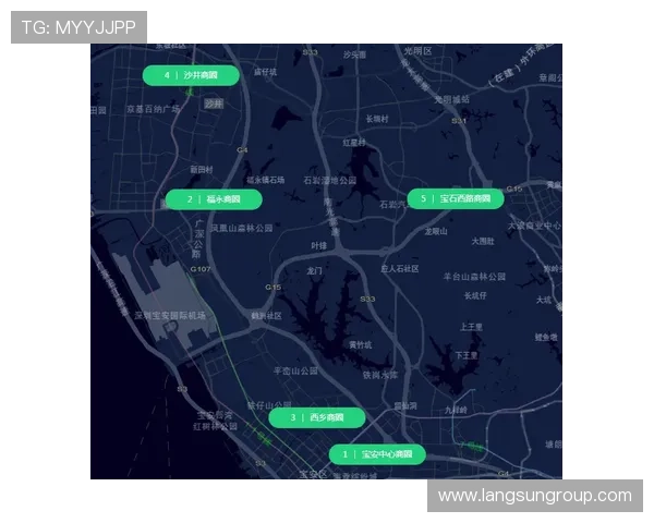 黄蜂队重建之路：新星崛起与未来规划分析